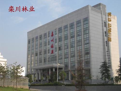欒川林業